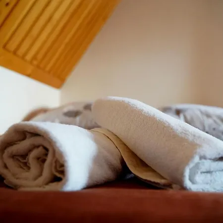 Dziubas Z Jacuzzi & Sauna Bed & Breakfast